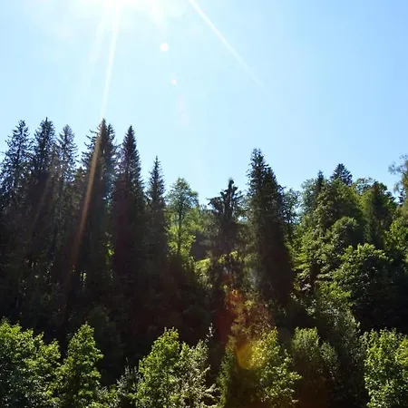 Nico * Muhlbach Am Hochkonig