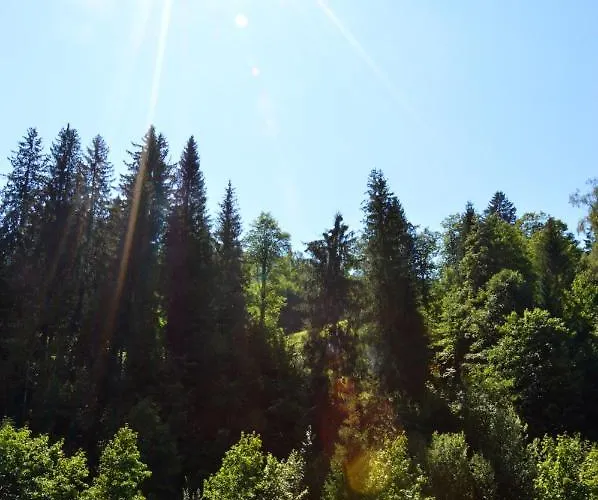 Nico * Mühlbach am Hochkönig